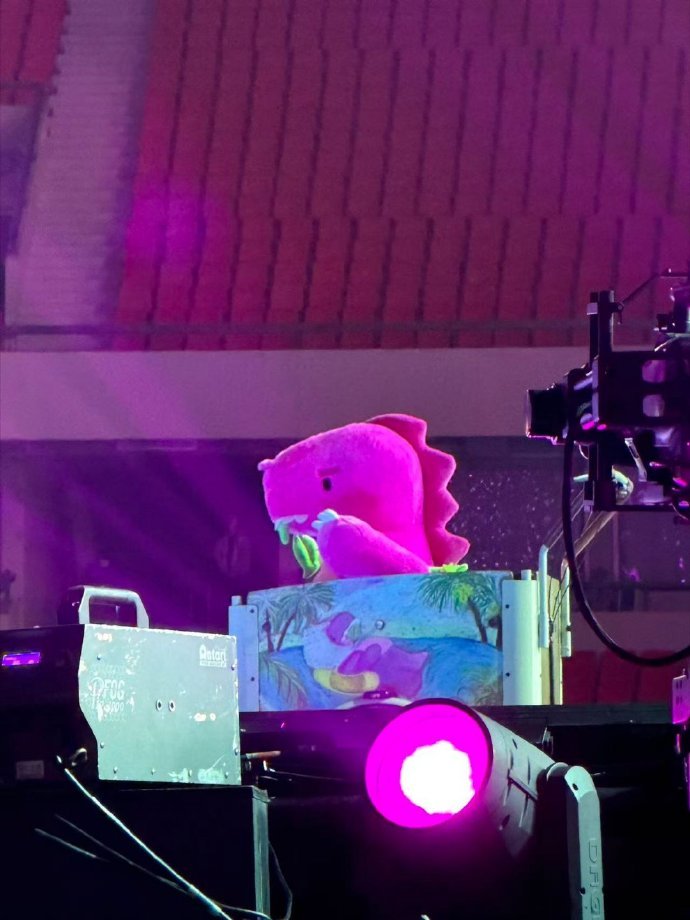 汪苏泷倒骑驴翻新了 汪苏泷台州演唱会这倒骑驴翻新得太惊艳！成了素龙大人的专属小屋