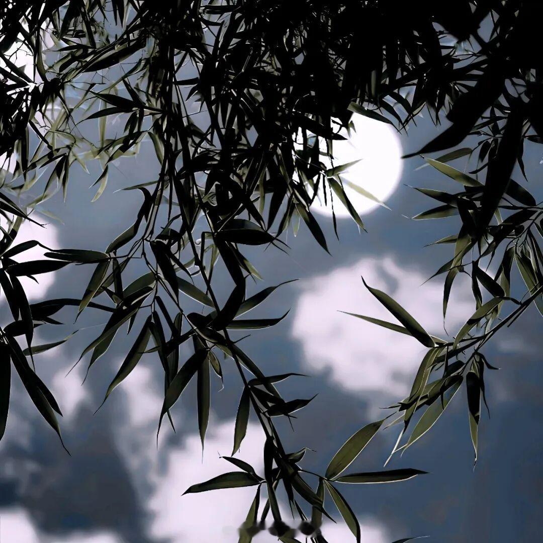 太阳是永远不会熄灭的，只是沉在敢以胸膛捂热长夜之人的心里。——《莫离》早安