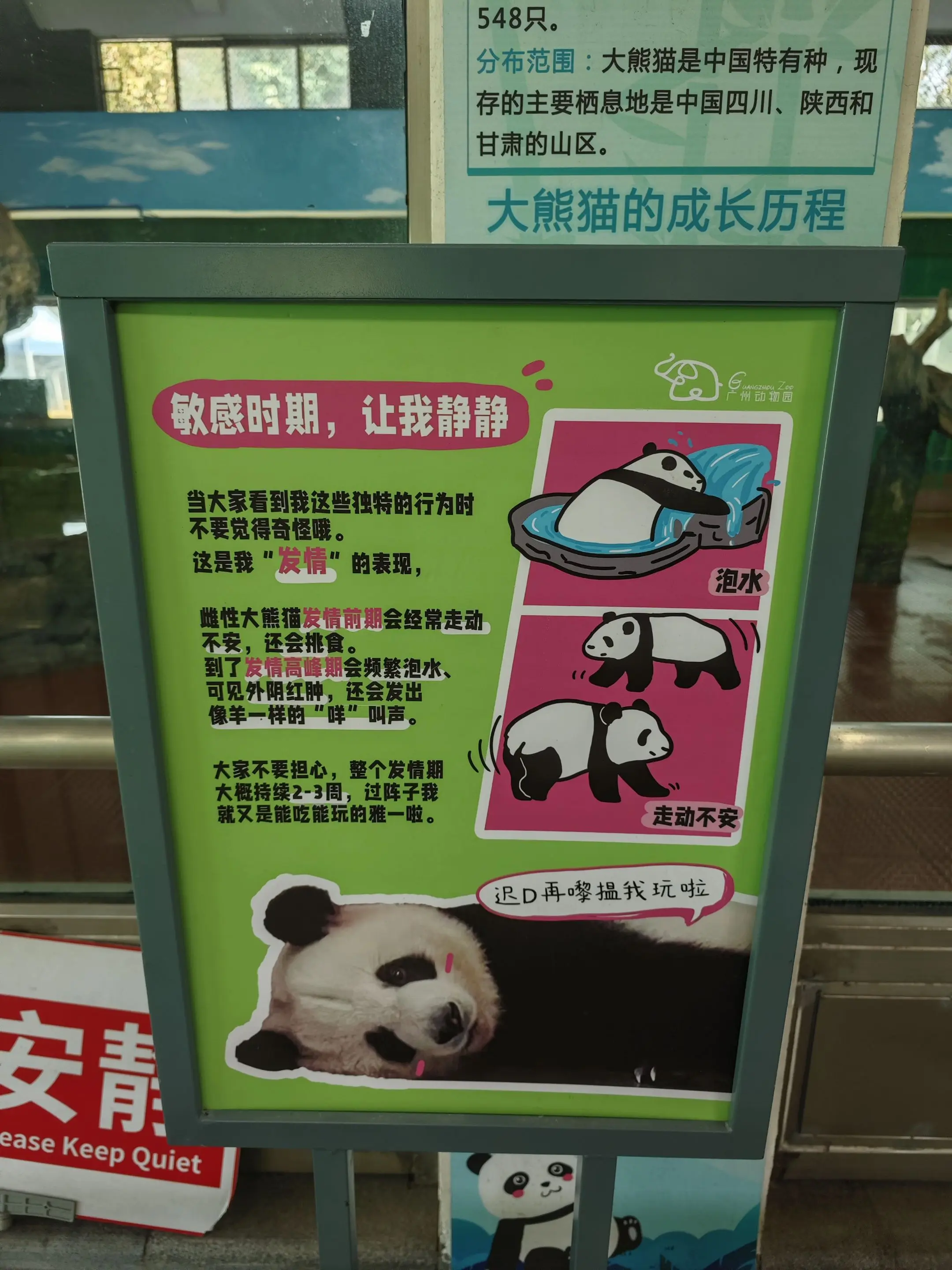 又到了雅一一年一度的发情期了。