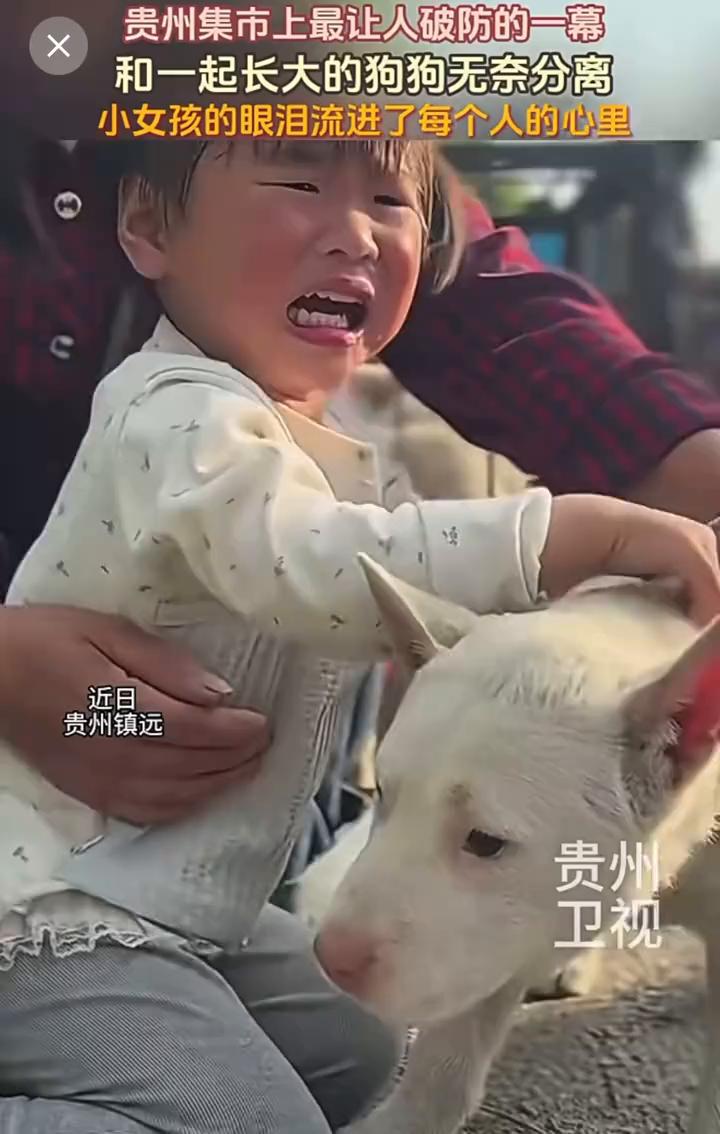 贵州集市上最让人破防的一幕，和一起长大的狗狗无奈分离，小女孩的眼泪流进了每个人的