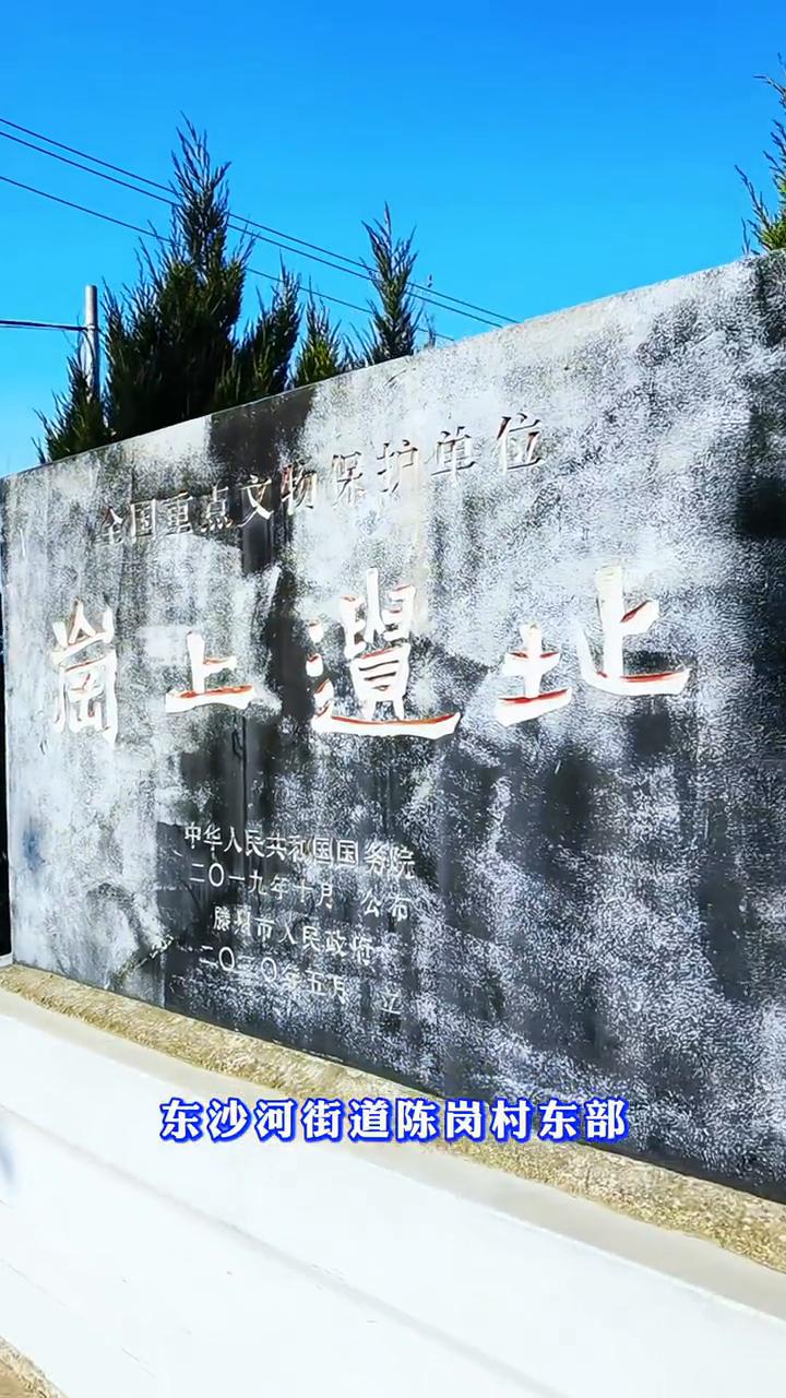岗上遗址，第八批全国重点文物保护单位。
岗上遗址，位于山东省枣庄市滕州市东沙河街