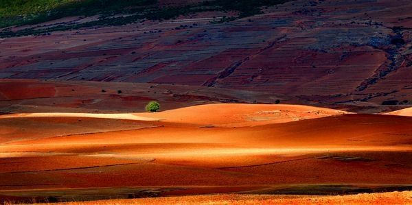 攀枝花·格萨拉就是人间天堂，这是触手可及的奇景。与恐龙同生代的桃源，一个开满杜鹃
