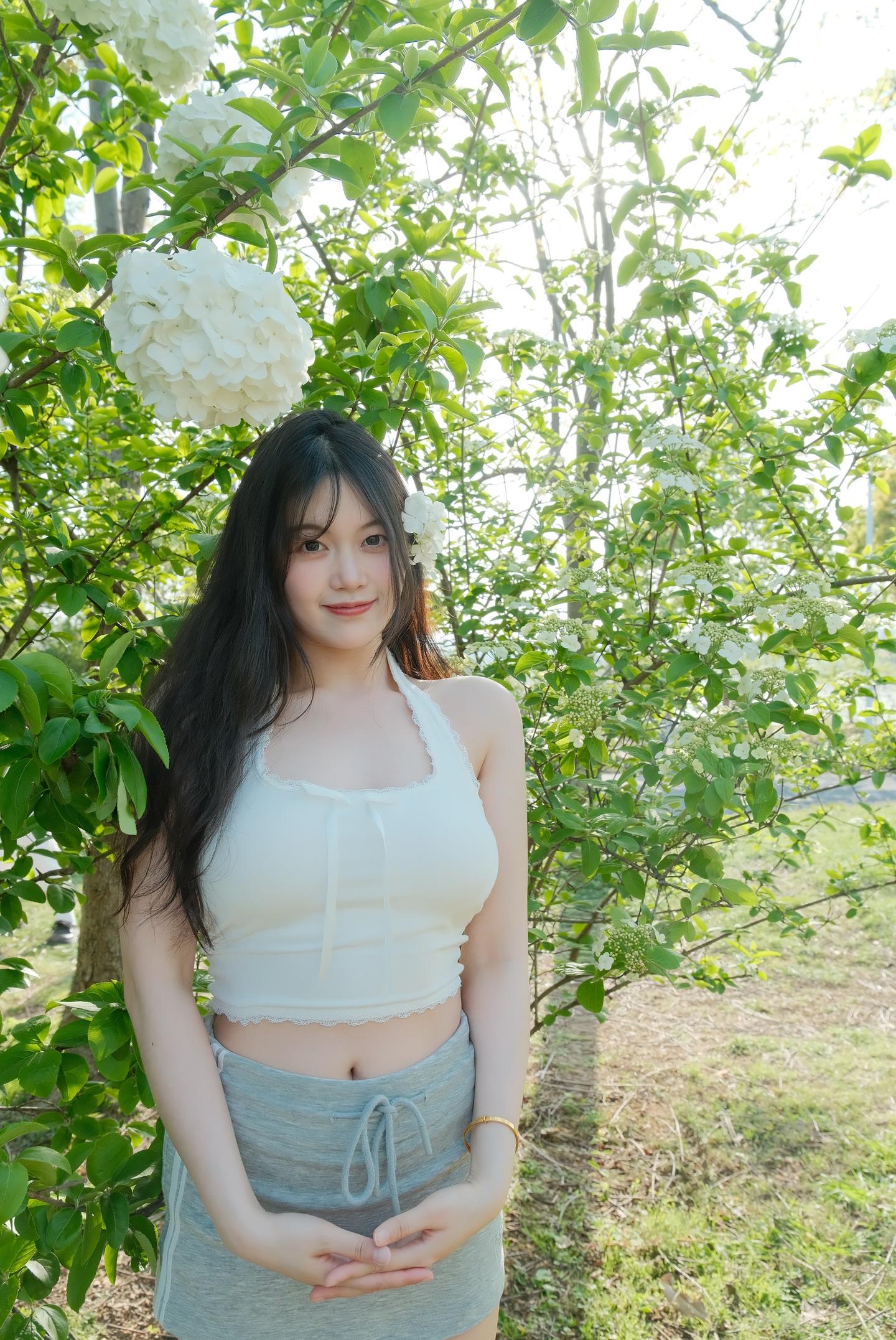 绣球花和我