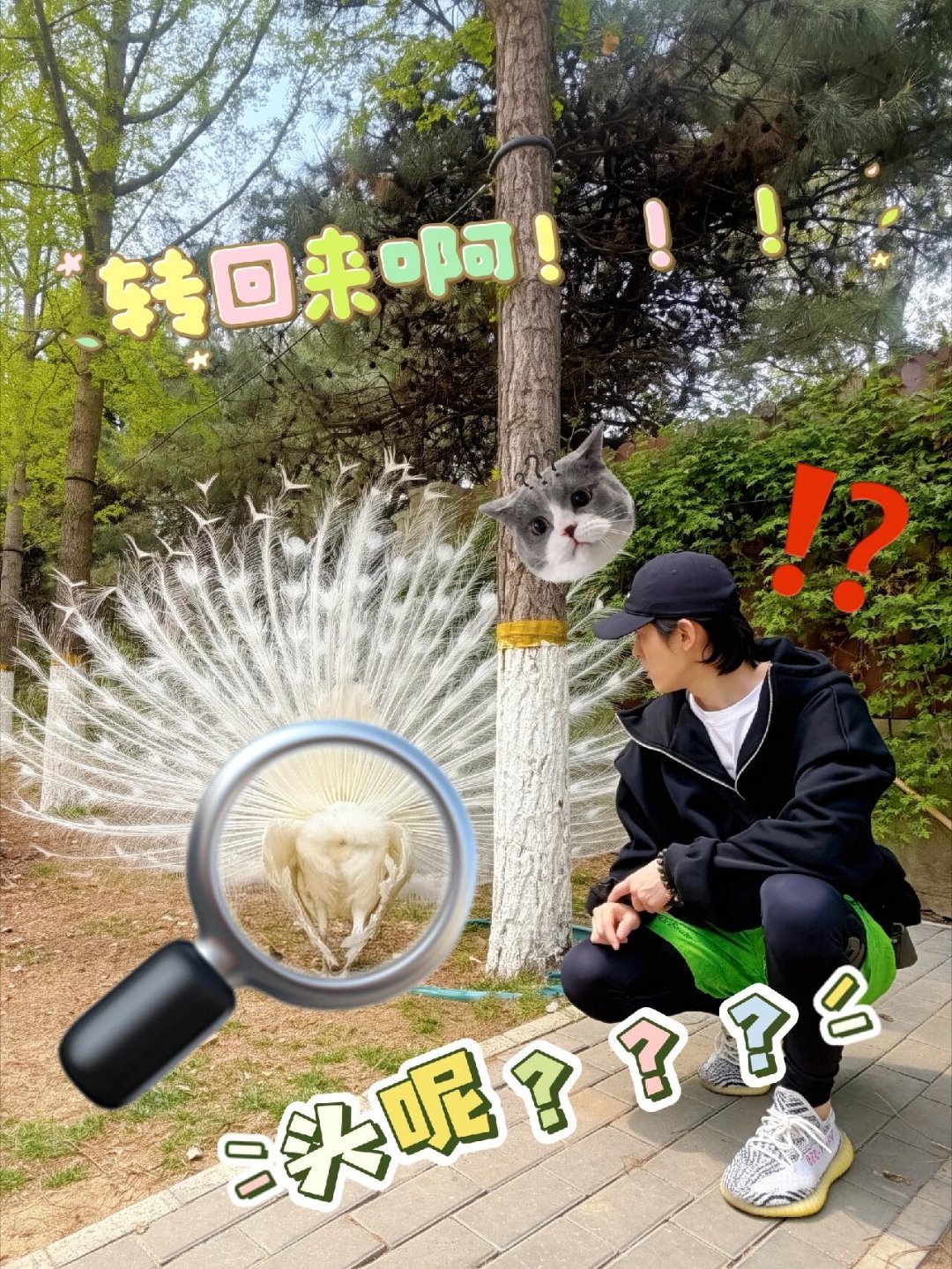 关九海独特视角的合影。 