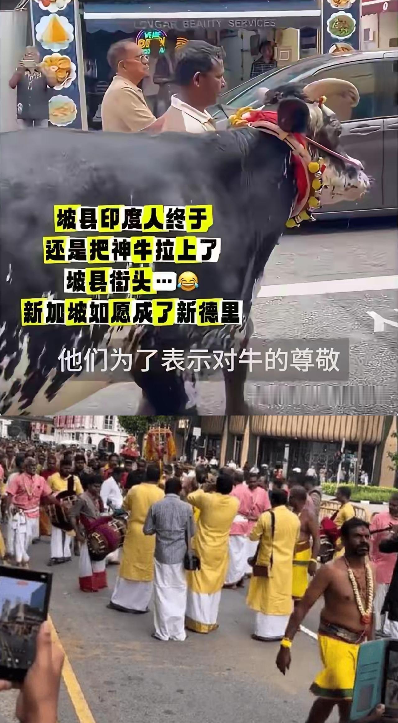 印度人的厉害之处不在于向外输出人口，而是他们无论走到任何一处，都能把印度的味道、