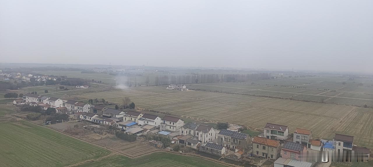 今年冬天的不同冬天的田野上，萧瑟中蕴藏着满满的绿意。在飞速行驶的高铁上看江南江北