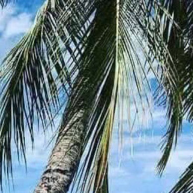每日一善阳光信用 丨每日一善阳光信用日行一善 珍惜你的低谷，你会看到很多真相，时
