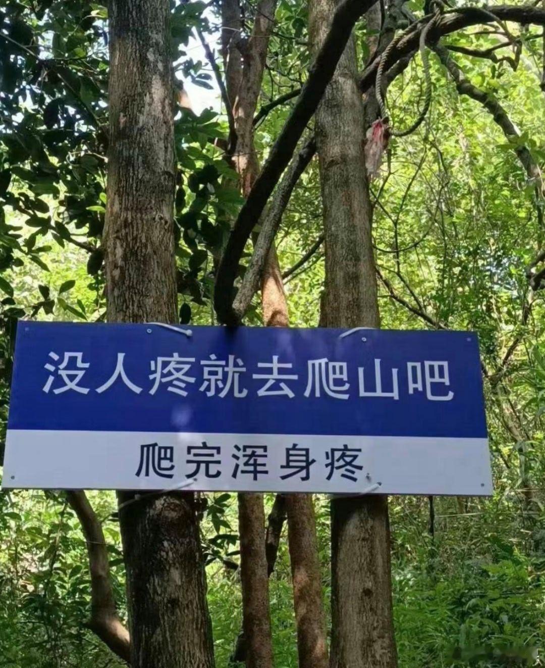 九寨沟景区就游客被索要照镜费道歉 小小“照镜费”引热议，景区快速纠错超暖心最近九
