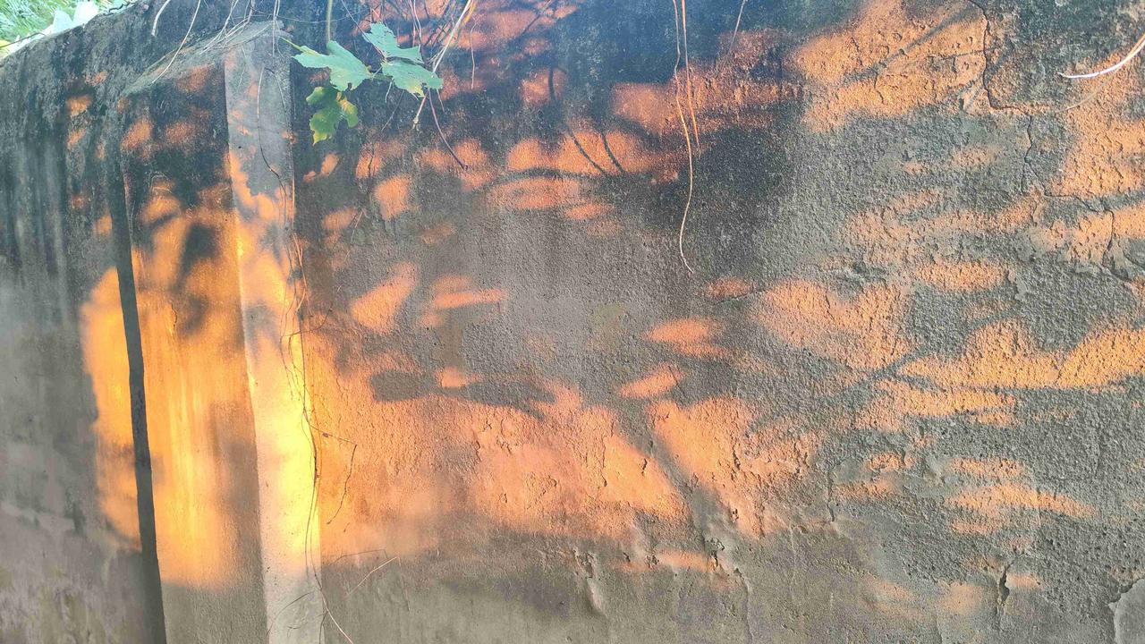 我的今日状态：😁轻松愉快
我这里的天气：☀️晴天