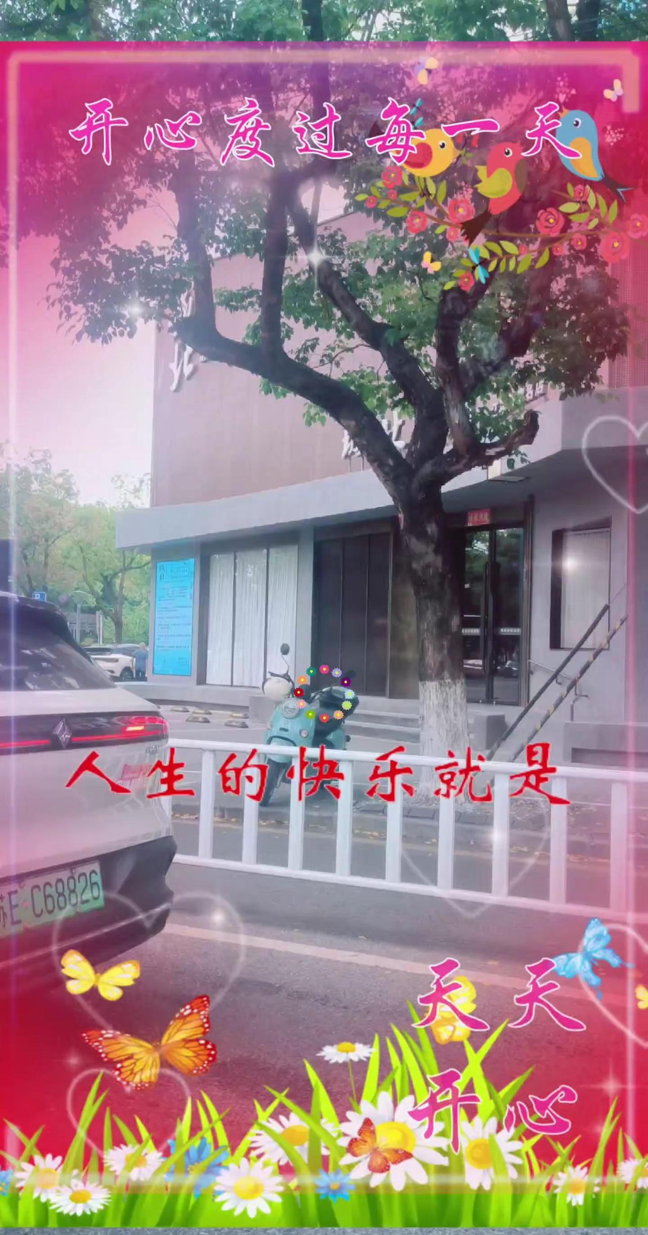 吃喝玩乐分享计划