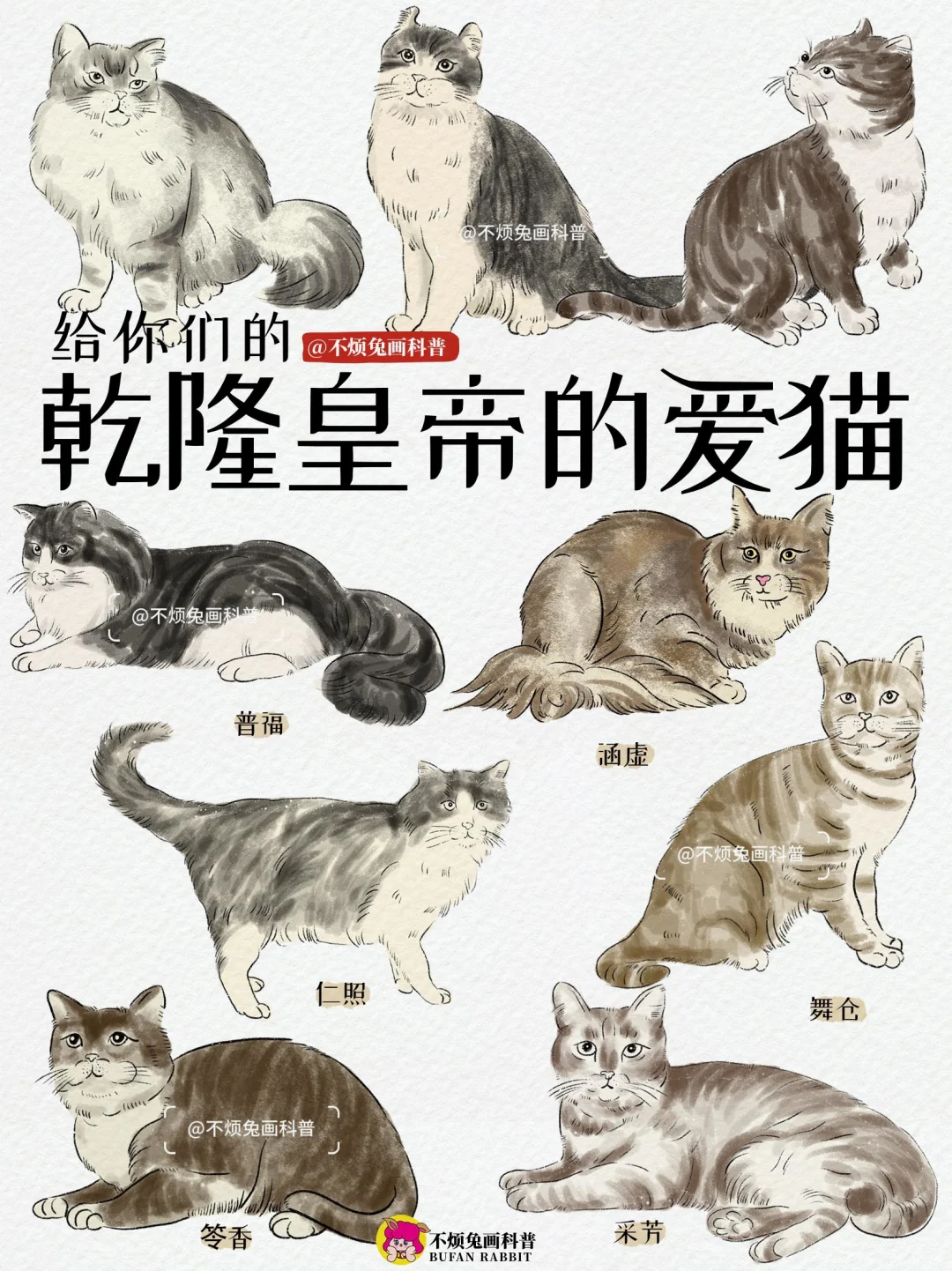 📕乾隆皇帝太会给猫🐱取名了‼️
