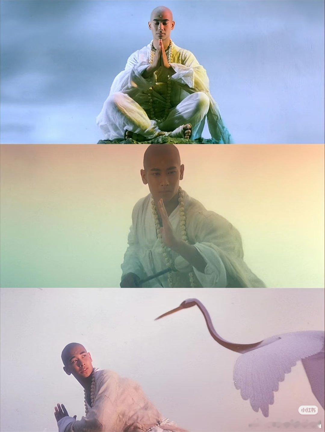 杨旭文可以尝试一下赵文卓在青蛇里面的法海那个角色，被青蛇一直撩拨，在破戒的边缘中