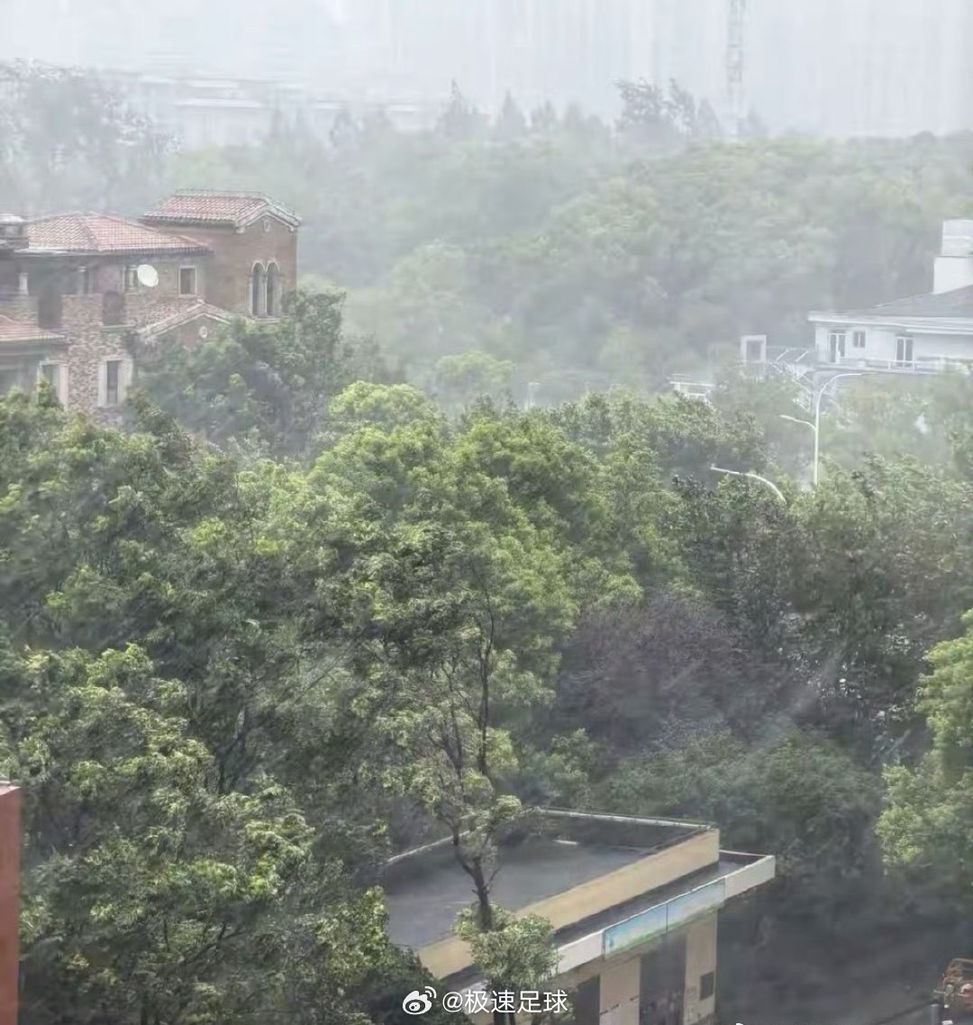 白海豚 上班看到浙江朋友发的，西湖暴雨游客躲避都来不及，还有说台州风力达到了15