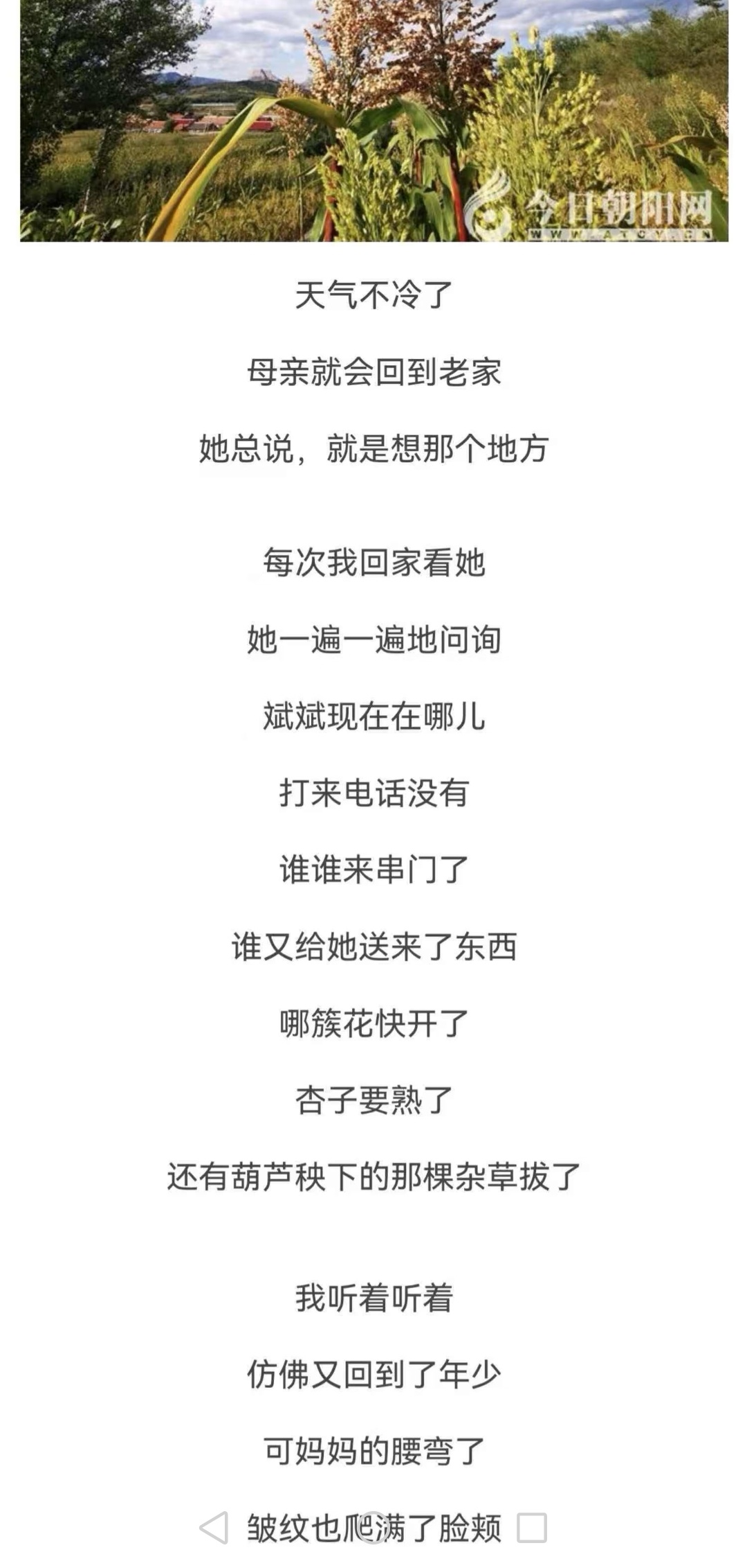 斌斌在开✈打🔫当主播。。。。夏令营生活老开心了呢于适yosh[超话] ​​​