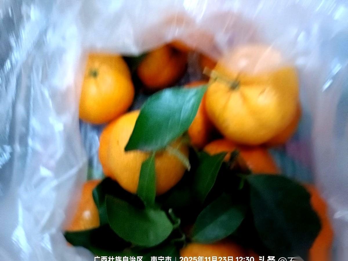 就一转眼的工夫，老王消失在了人山人海里。
我差点以为要在南宁的双孖井菜市场，把我