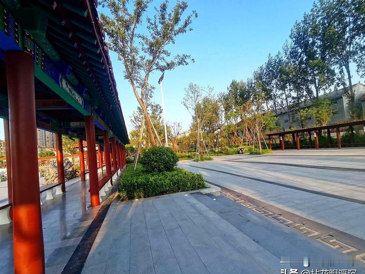 邻居秦奶奶，三十年前举家搬去了西安。

家里宅基地给了远房的兄弟，她家自留地充公