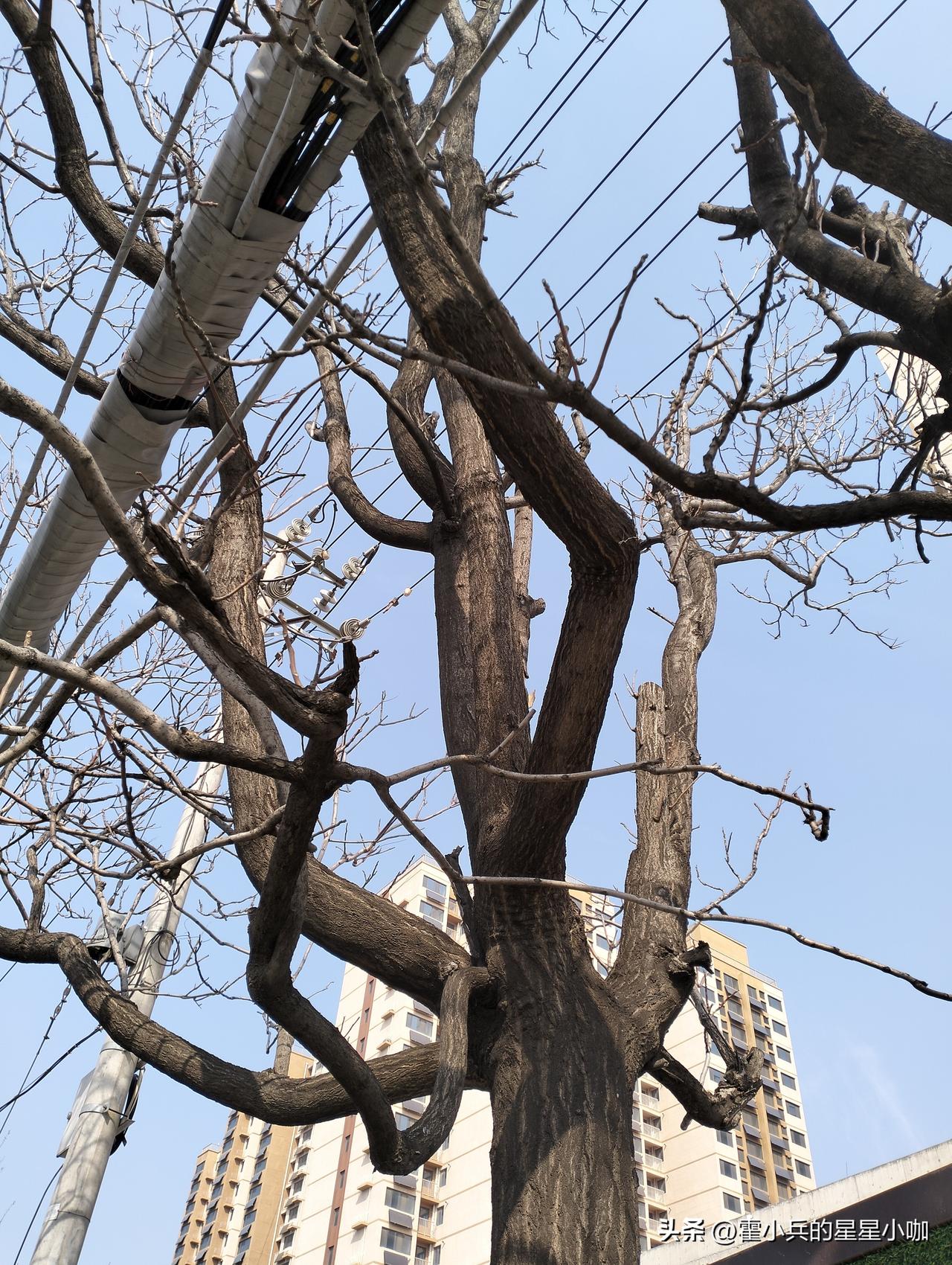 《凤凰卫视》：伊朗国家电视台9日报道称，伊朗新任最高领袖在袭击中受伤。穆杰塔巴哈