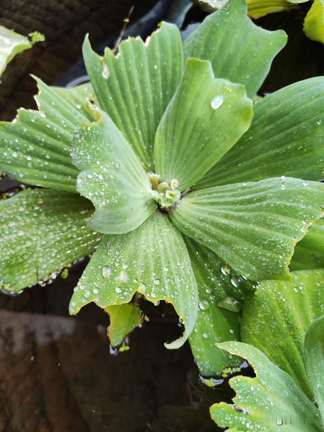 冬日生活打卡季