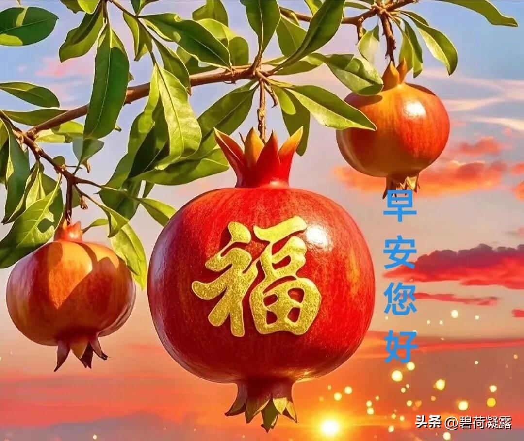 清晨送上我的问候与祝福：周日早安，祝新的一天开心快乐！
人生是一本书，翻开是故事