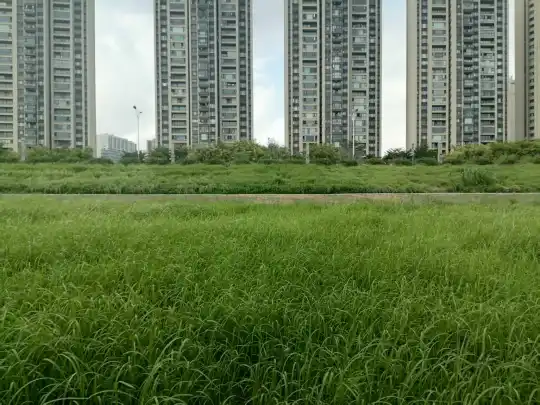 佛山超万人的企业有哪些？有企业员工超20万