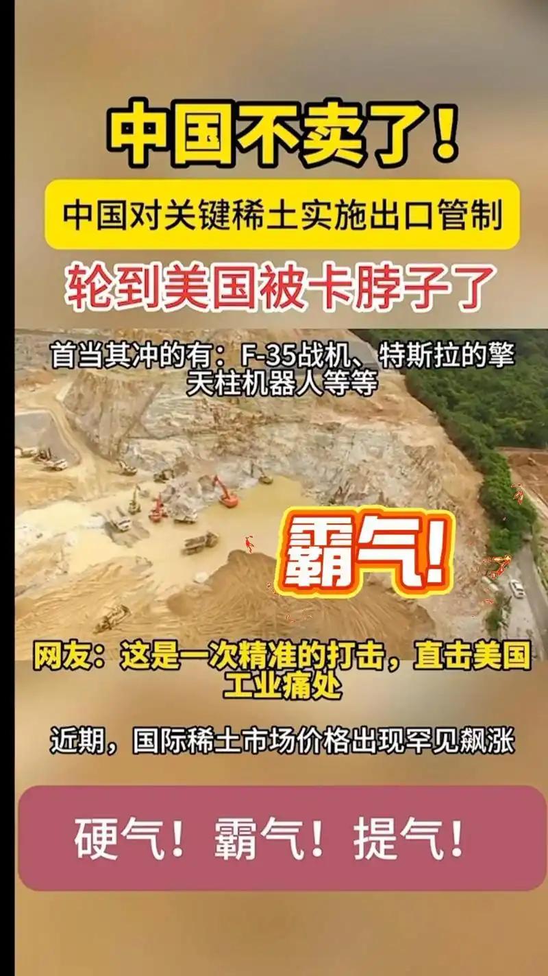 若无永磁钕铁硼，
电机趴窝不得行；
高市早苗本政客，
哪知工业是味精？

鸭子死