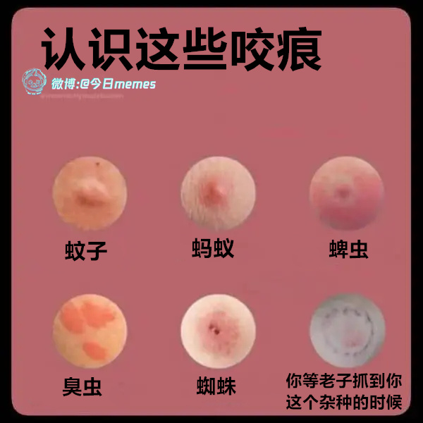 给你一下（9gag）哎呀