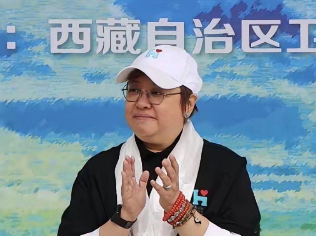 我注意到一条捐款信息，感觉挺意外的，“韩红基金会”，向西藏灾区……捐赠了500万