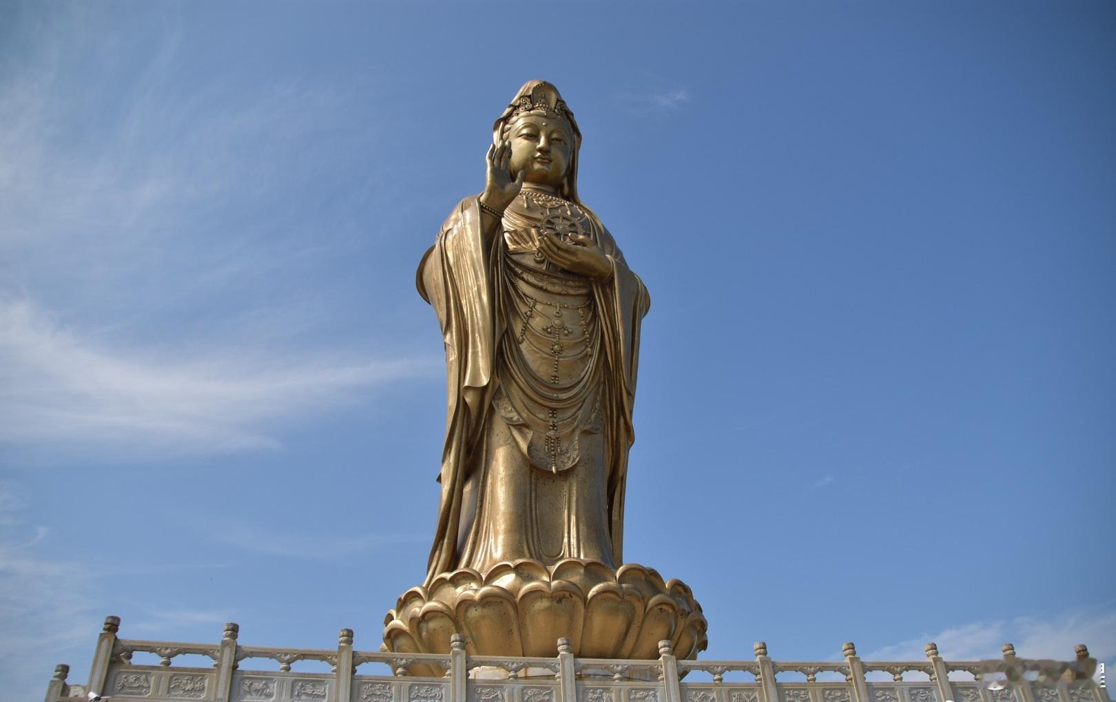 菩萨会保佑你：该来的总会来，该有的都会有的[鲜花] ​​​