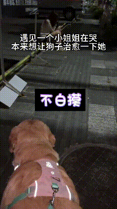 刷到这段视频，觉得又暖心又好笑。公园里一位小姐姐独自坐在长椅上难过，牵着拉布拉多