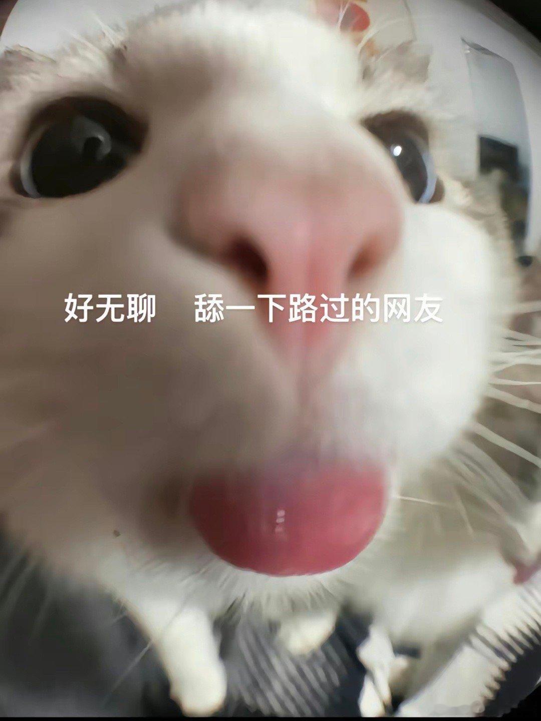 这几天忙都没怎么冒泡！冒一个大家都有好好生活没！ 