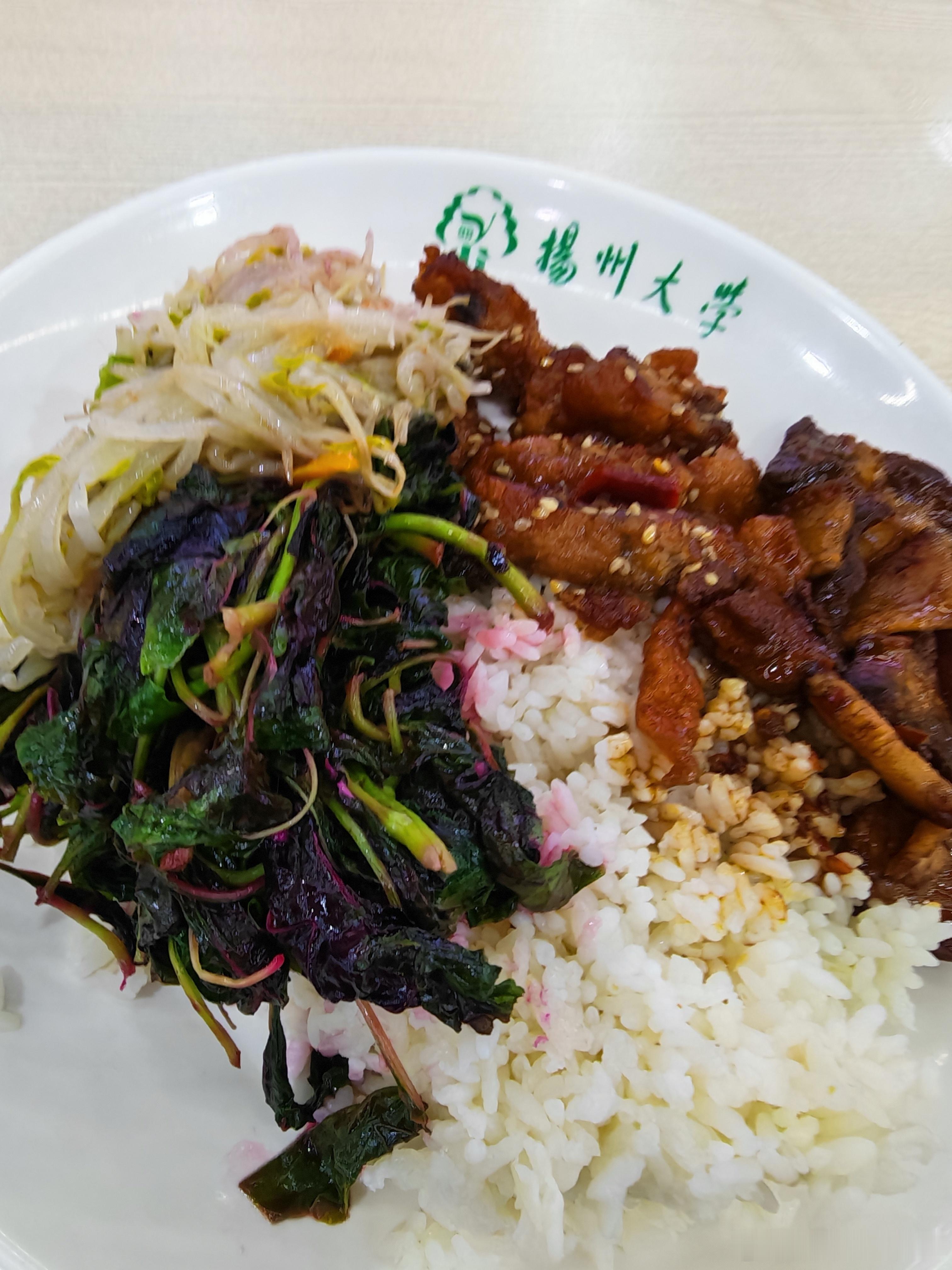 学校食堂档口快被我吃遍了！扬州大学学校食堂