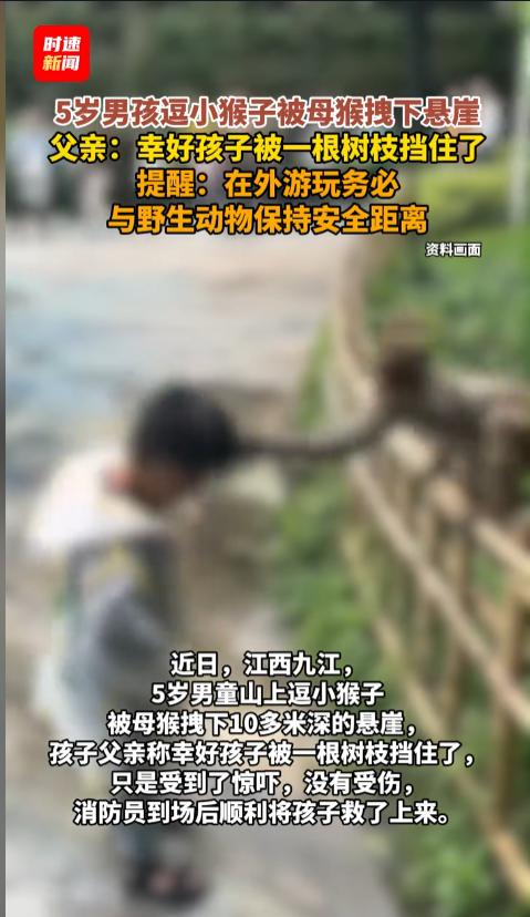 “太吓人了！”近日，江西九江，一个小男孩在山上游玩时，逗弄了一下小猴子。不料这一