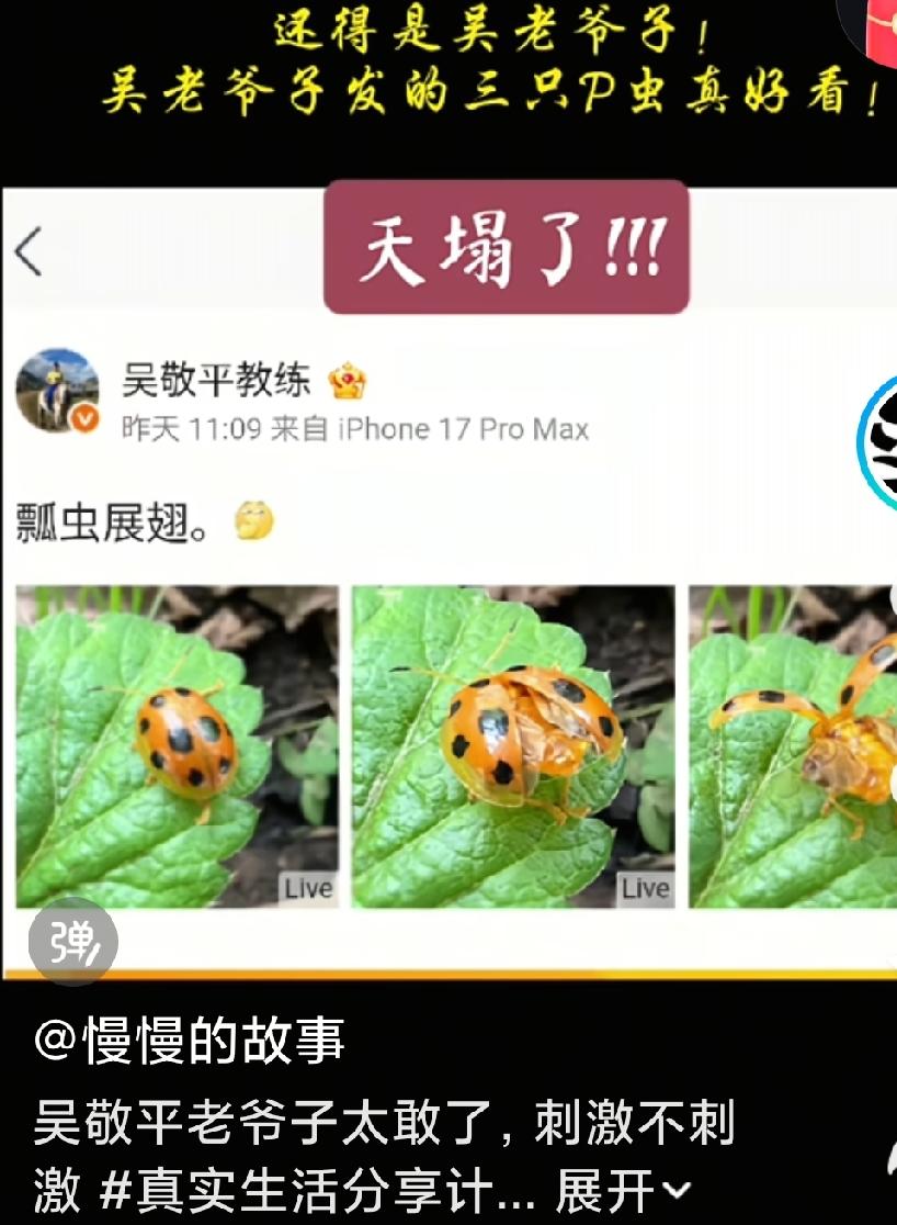 这几天关于乒乓球的议论比较多啊，大家说的都是真的吗？大家的表达都是比较含蓄的啊，
