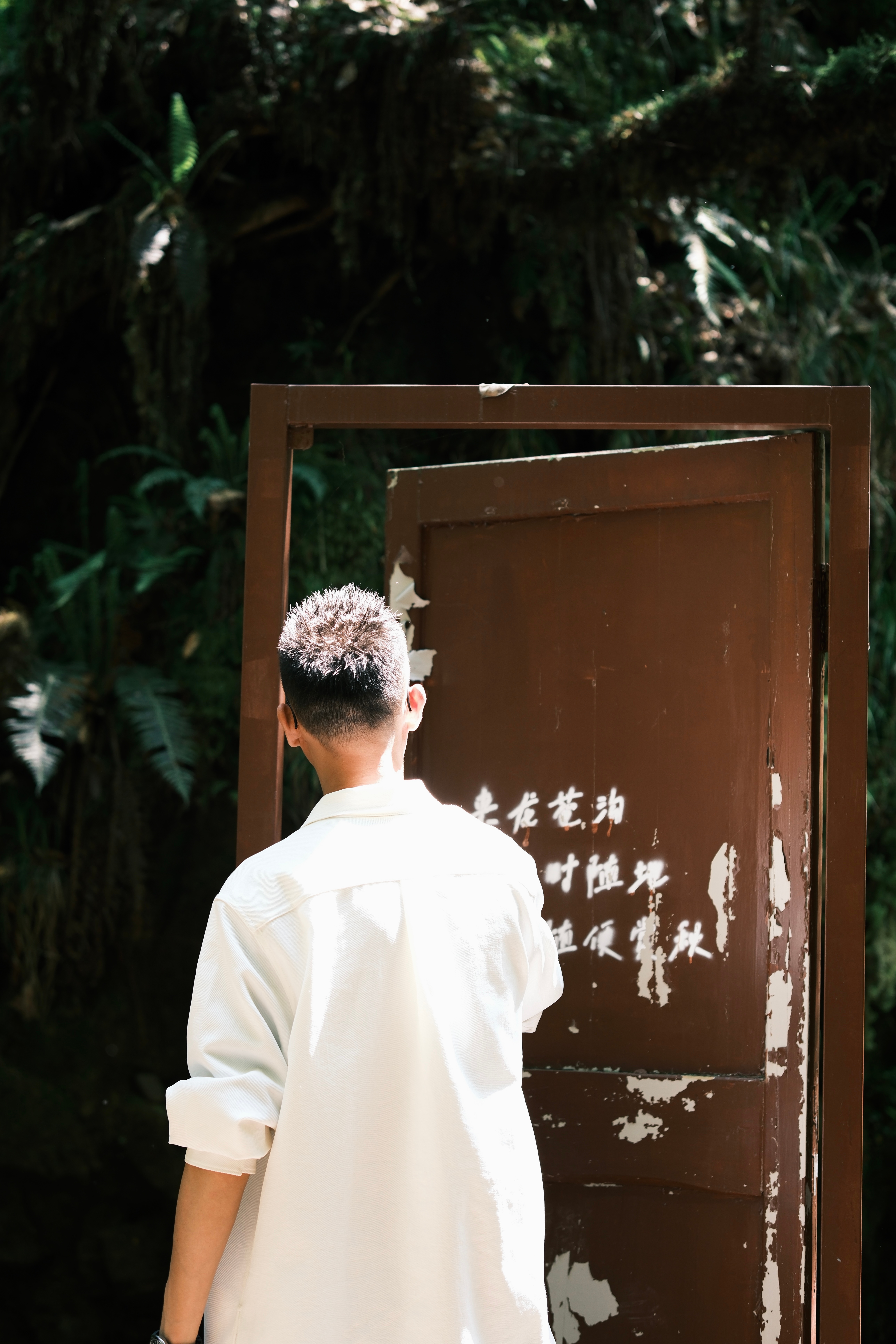 你相信光吗？  ​​​
