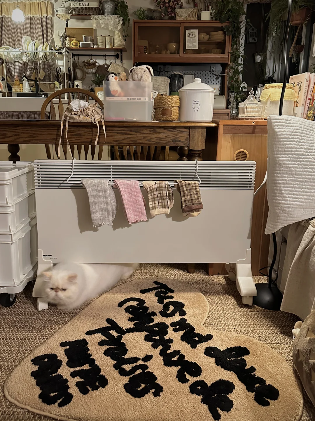 ʕ⁰̈ʕ⁰̈ʔ 浅浅期待一下冬天很好宅的小屋🎀🧋