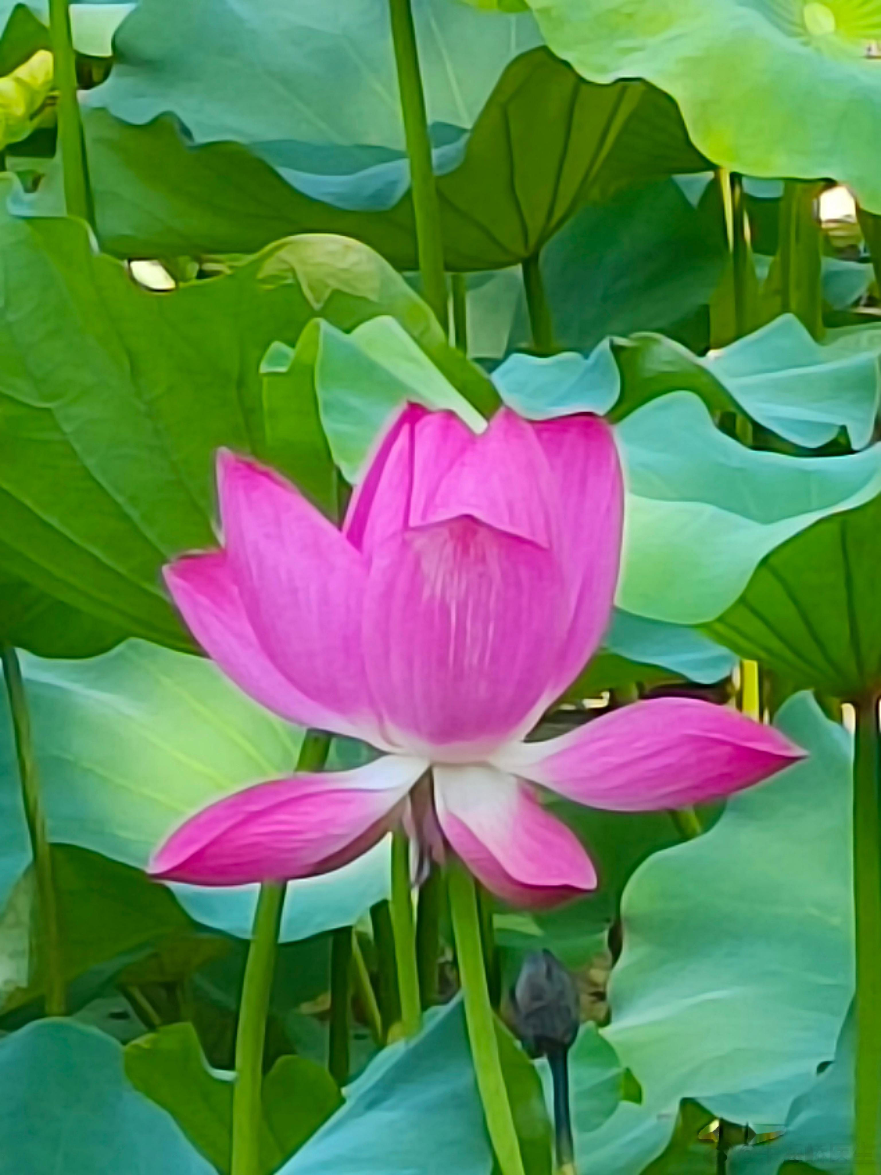 #大暑##新手爸妈指南##儿童健康守护者计划# 【大暑之时儿童如何做好保健？】大