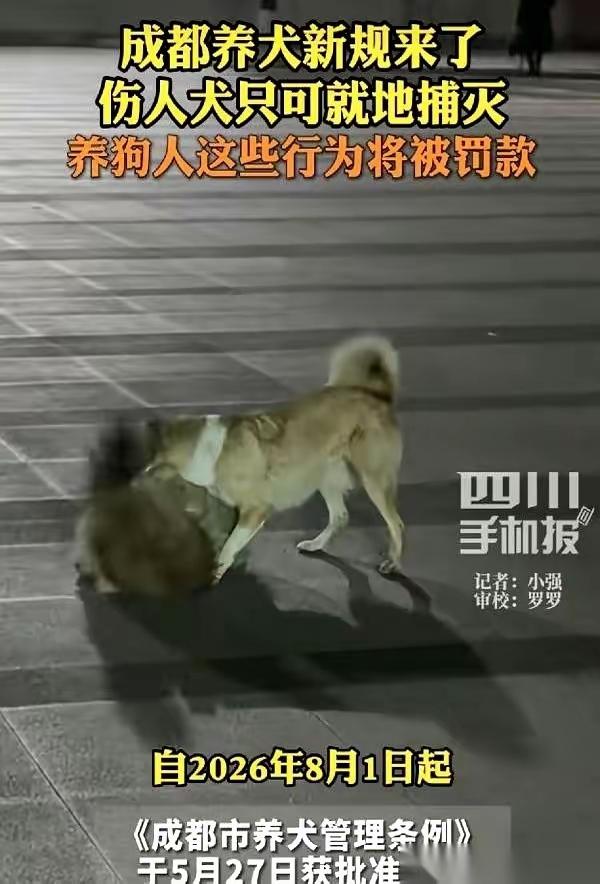 成都养犬新规，8月1号落地。
最狠的一条，不是罚款，而是直接把一项权利，给了路上