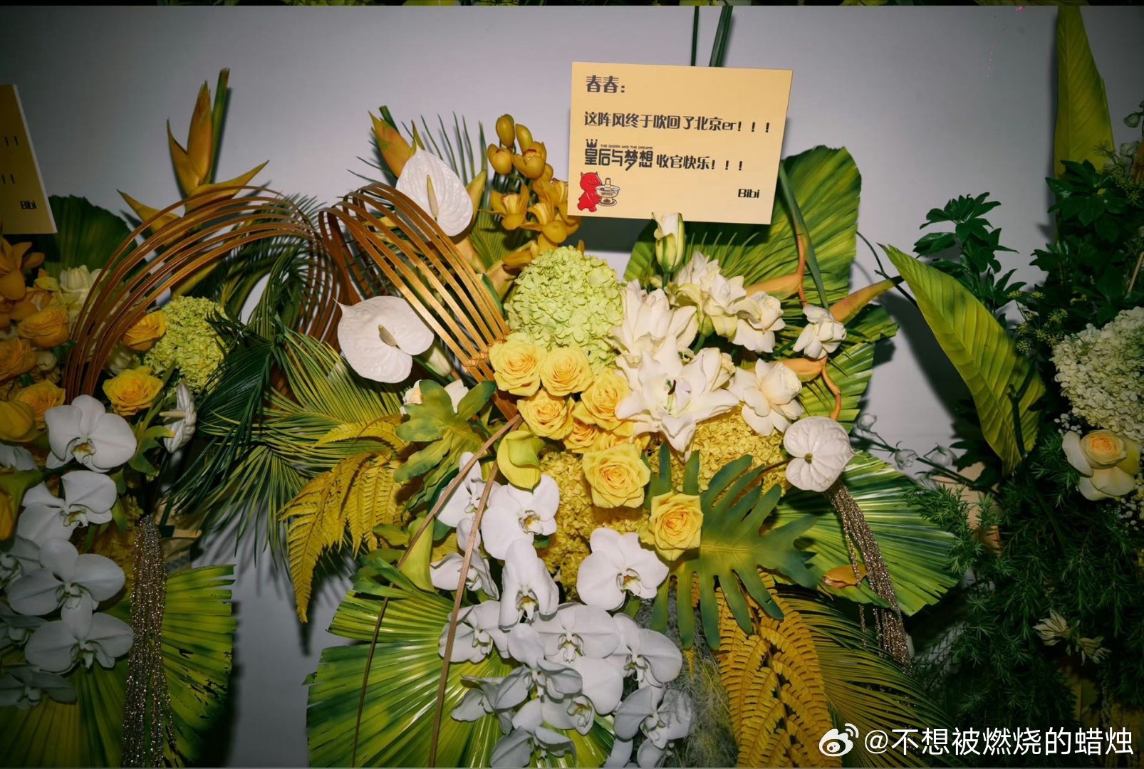 李宇春演唱会李宇春北京收官演唱会太暖了！周笔畅的花篮再次上线，从开场到落幕全程陪