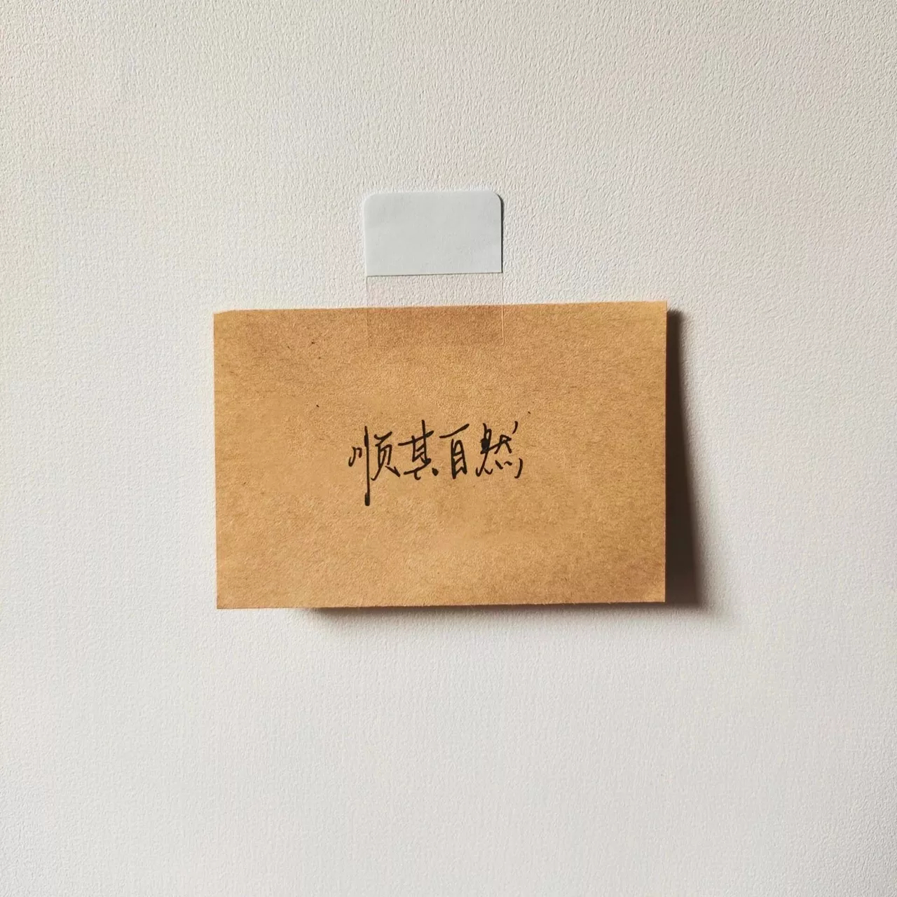 夏天就要晒镜头我想还能更平淡更坚强更幸福 