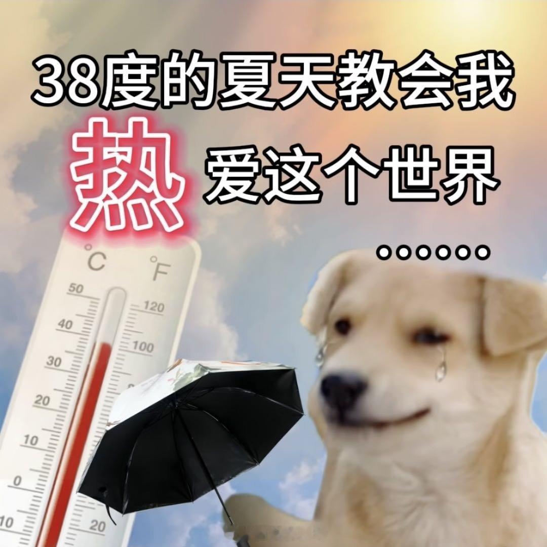 老外被中国避暑游硬控了欧洲高温难耐，大批老外奔赴国内六盘水、九寨沟避暑。全域空调