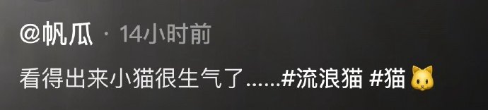 当同伴不小心吃了猫咪的猫条时  ​ ​​​