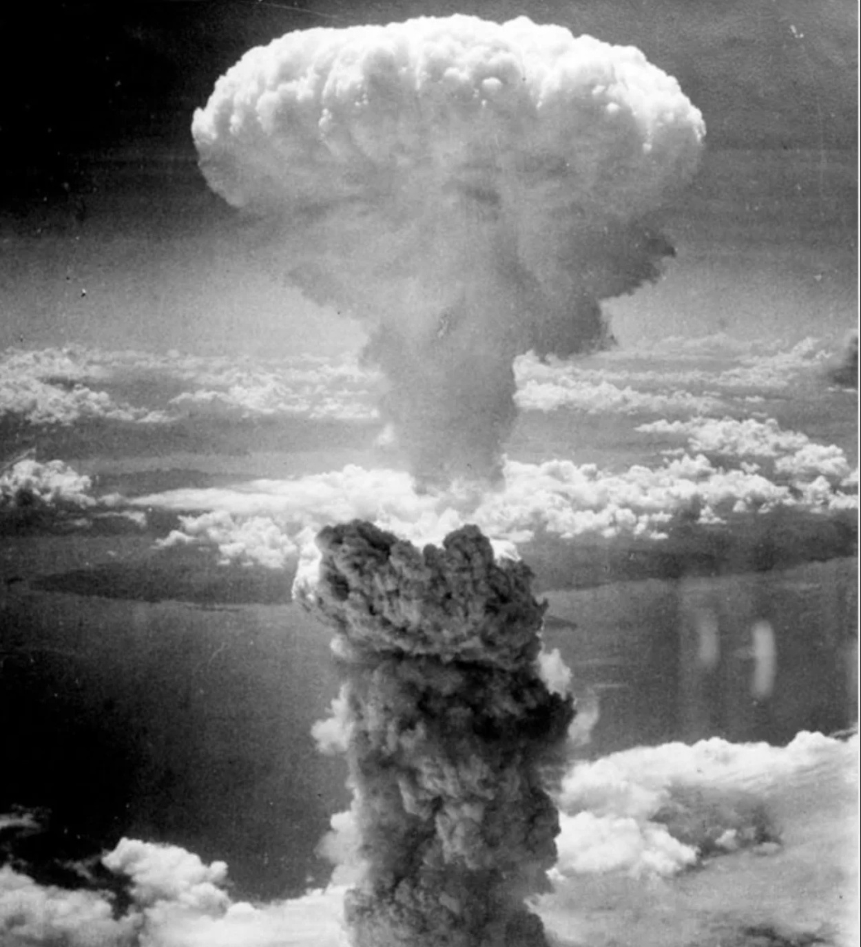 日本排外情绪空前高涨跳个舞就破防了……天欲其亡，必先乱其心智小狗才叫，咱看戏就好