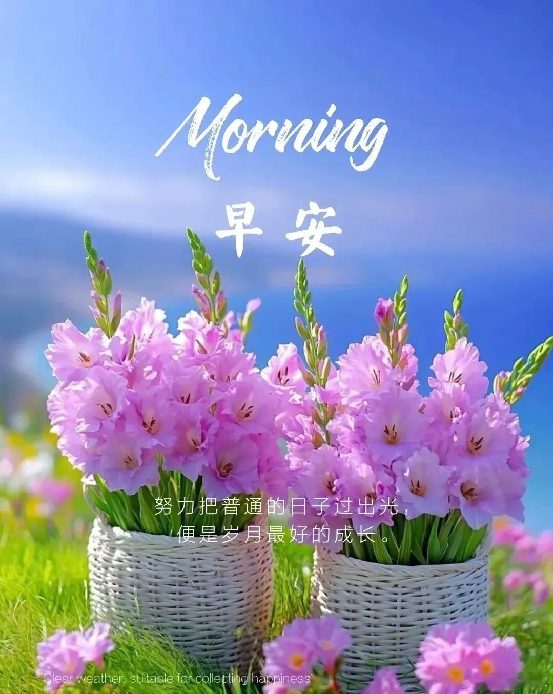 “推开窗就能接住晨光，迈出步就能遇见可能，新的一天，不慌不忙，带着期待去探索生活