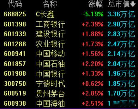 A股市值前10红了9个  前十唯有长鑫绿了，是因为这个吗？ 