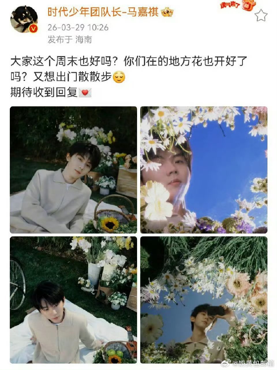 马嘉祺花与少年四宫格春天来了，春天就该和少年一起度过。 