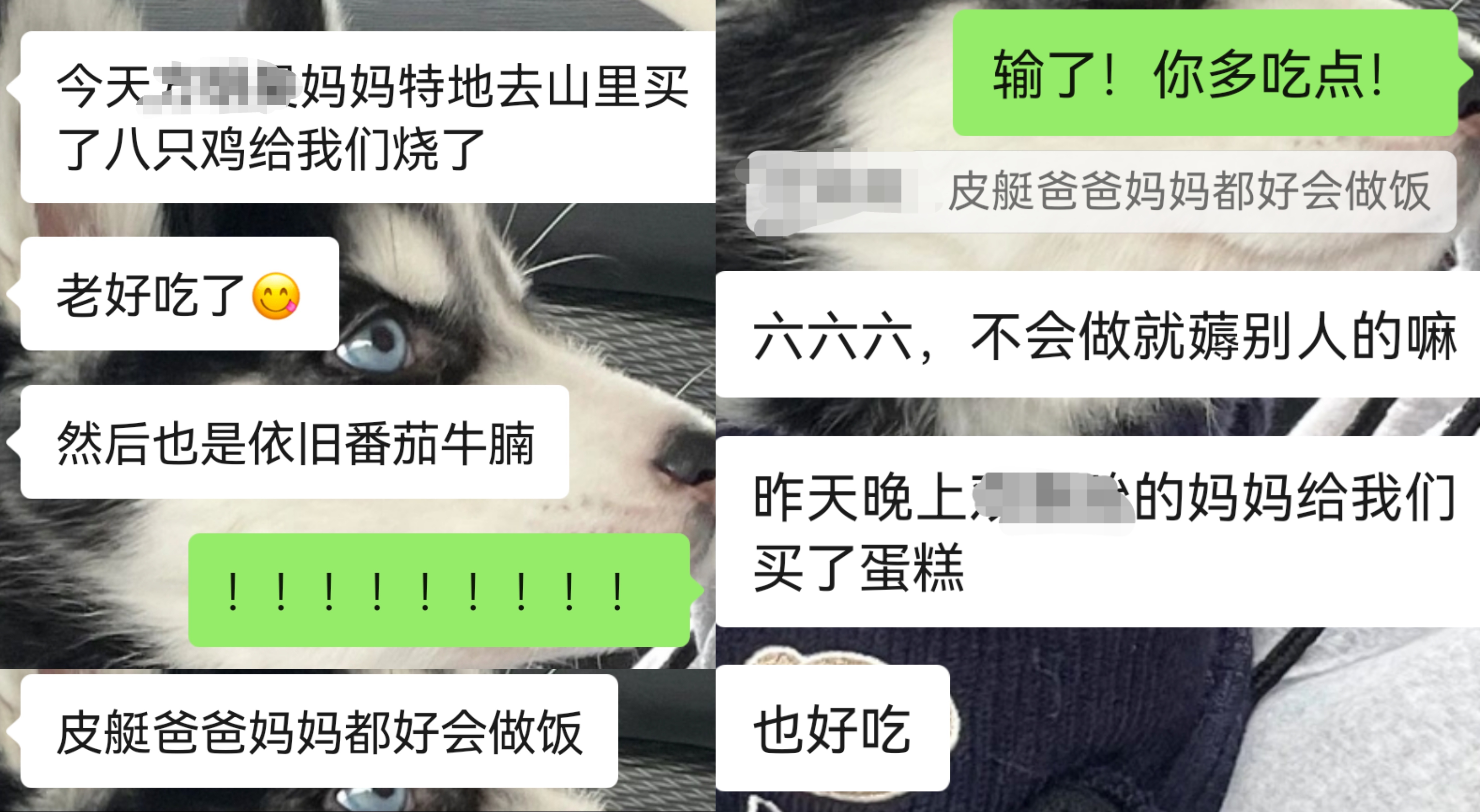 【成长记】晚上跟小妞例行聊天，遭受十万点暴击！在精湛的厨艺面前，有趣的灵魂一文不