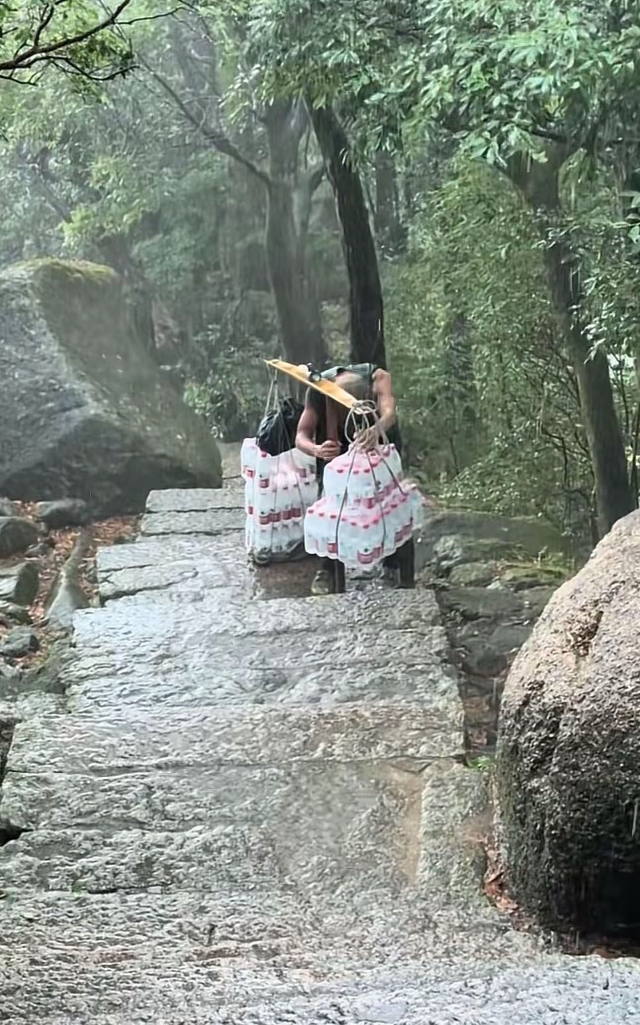 网友：突然觉得山顶水没有那么贵了 ​​​