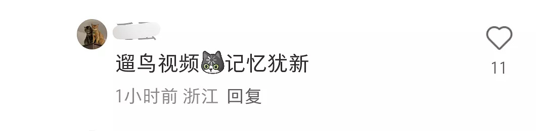 胡一天这个瓜谁吃过？ ​​​