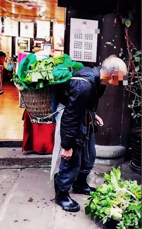 泪目！河南郑州，一68岁卖菜大爷在餐馆躲雨，老板送了一碗牛肉，二两白酒。喝完后，