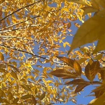 0000与其羡慕他人智慧，不如自己勤奋补拙；与其羡慕他人优秀，不如自己奋斗不止；